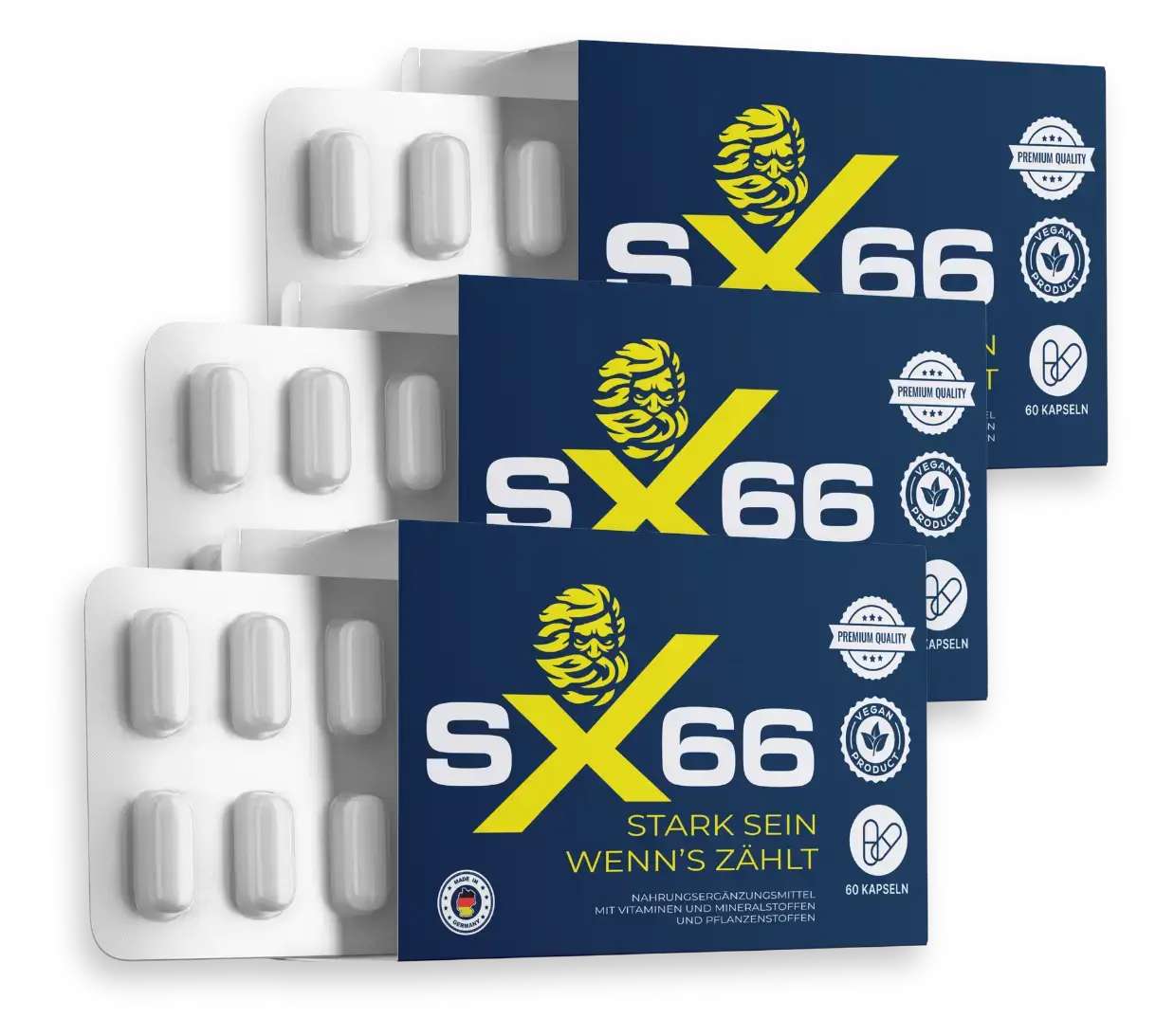 SX66